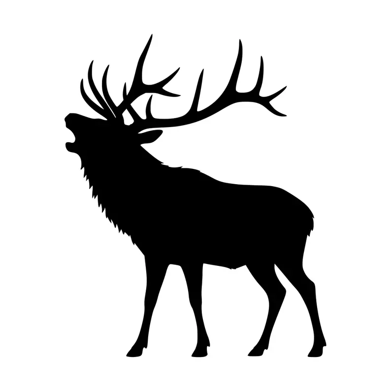 Bull elk with head raised, bugling